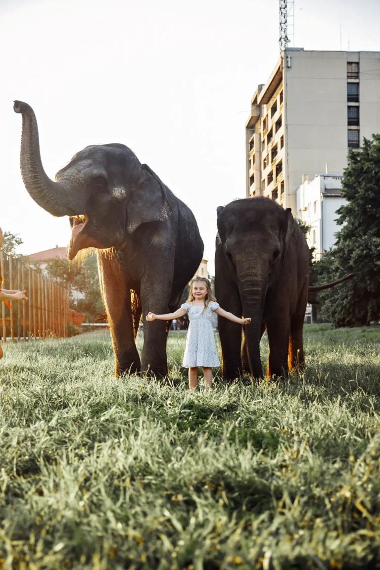 Girl and elephant — Teen editorial by Aleksandr for VOUS Magazine